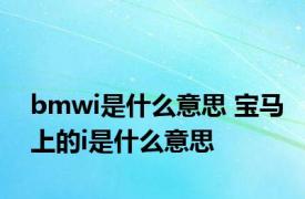 bmwi是什么意思 宝马上的i是什么意思