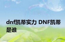 dnf凯蒂实力 DNF凯蒂是谁