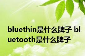 bluethin是什么牌子 bluetooth是什么牌子