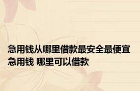 急用钱从哪里借款最安全最便宜 急用钱 哪里可以借款