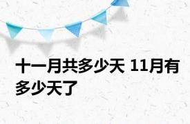 十一月共多少天 11月有多少天了