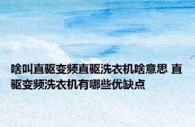 啥叫直驱变频直驱洗衣机啥意思 直驱变频洗衣机有哪些优缺点