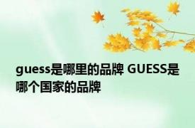 guess是哪里的品牌 GUESS是哪个国家的品牌