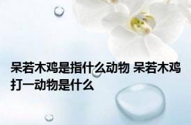 呆若木鸡是指什么动物 呆若木鸡打一动物是什么