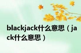 blackjack什么意思（jack什么意思）