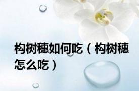 构树穗如何吃（构树穗怎么吃）