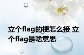 立个flag的梗怎么接 立个flag是啥意思