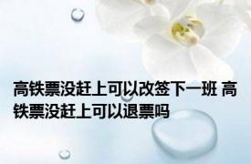 高铁票没赶上可以改签下一班 高铁票没赶上可以退票吗