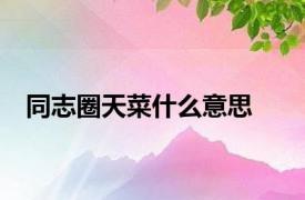 同志圈天菜什么意思