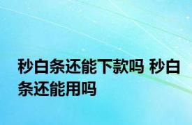 秒白条还能下款吗 秒白条还能用吗