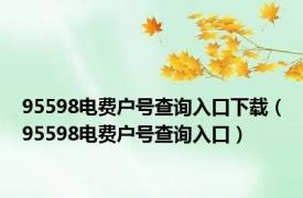 95598电费户号查询入口下载（95598电费户号查询入口）