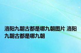 洛阳九朝古都是哪九朝图片 洛阳九朝古都是哪九朝