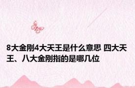 8大金刚4大天王是什么意思 四大天王、八大金刚指的是哪几位