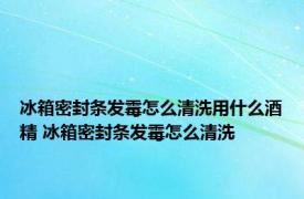 冰箱密封条发霉怎么清洗用什么酒精 冰箱密封条发霉怎么清洗