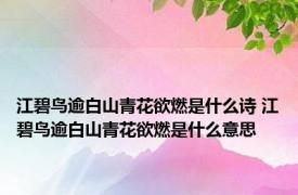 江碧鸟逾白山青花欲燃是什么诗 江碧鸟逾白山青花欲燃是什么意思