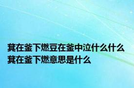 萁在釜下燃豆在釜中泣什么什么 萁在釜下燃意思是什么