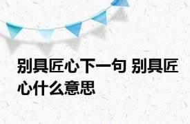 别具匠心下一句 别具匠心什么意思