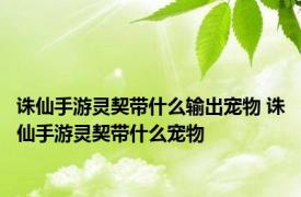 诛仙手游灵契带什么输出宠物 诛仙手游灵契带什么宠物