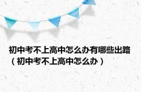 初中考不上高中怎么办有哪些出路（初中考不上高中怎么办）