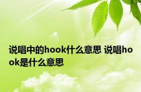 说唱中的hook什么意思 说唱hook是什么意思