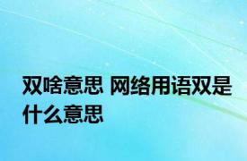 双啥意思 网络用语双是什么意思