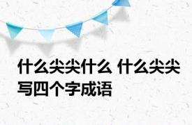 什么尖尖什么 什么尖尖写四个字成语