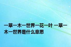 一草一木一世界一花一叶 一草一木一世界是什么意思