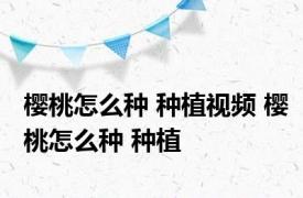 樱桃怎么种 种植视频 樱桃怎么种 种植