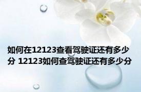 如何在12123查看驾驶证还有多少分 12123如何查驾驶证还有多少分