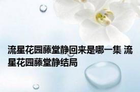 流星花园藤堂静回来是哪一集 流星花园藤堂静结局