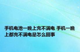 手机电池一晚上充不满电 手机一晚上都充不满电是怎么回事