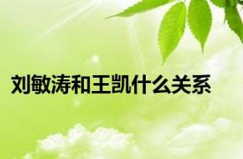 刘敏涛和王凯什么关系