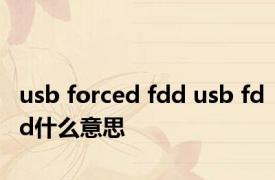 usb forced fdd usb fdd什么意思