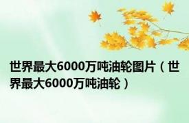 世界最大6000万吨油轮图片（世界最大6000万吨油轮）