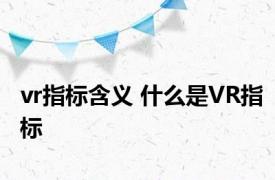 vr指标含义 什么是VR指标