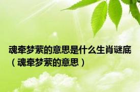 魂牵梦萦的意思是什么生肖谜底（魂牵梦萦的意思）