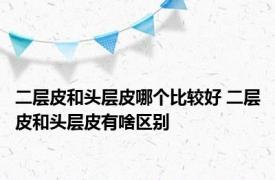 二层皮和头层皮哪个比较好 二层皮和头层皮有啥区别