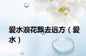 爱水浪花飘去远方（爱水）