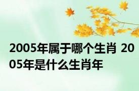 2005年属于哪个生肖 2005年是什么生肖年