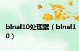 blnal10处理器（blnal10）