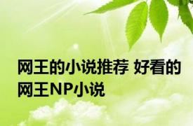 网王的小说推荐 好看的网王NP小说