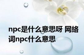 npc是什么意思呀 网络词npc什么意思