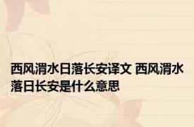 西风渭水日落长安译文 西风渭水落日长安是什么意思