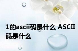 1的ascii码是什么 ASCII码是什么