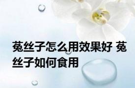 菟丝子怎么用效果好 菟丝子如何食用