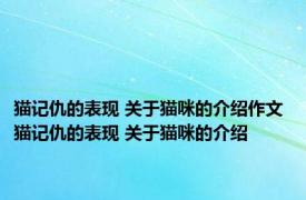 猫记仇的表现 关于猫咪的介绍作文 猫记仇的表现 关于猫咪的介绍