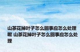 山茶花掉叶子怎么回事应怎么处理呢 山茶花掉叶子怎么回事应怎么处理