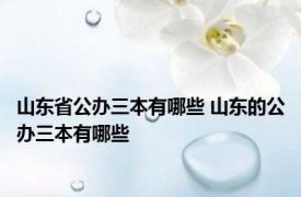 山东省公办三本有哪些 山东的公办三本有哪些