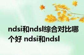 ndsi和ndsl综合对比哪个好 ndsi和ndsl 