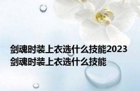 剑魂时装上衣选什么技能2023 剑魂时装上衣选什么技能